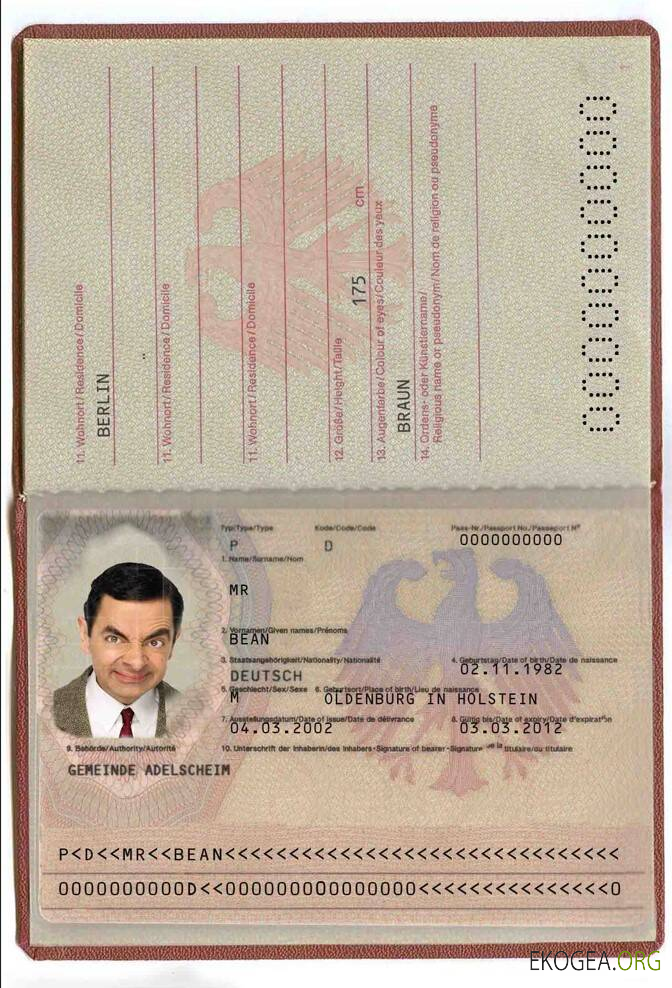 Passeport allemand (2005 2017)